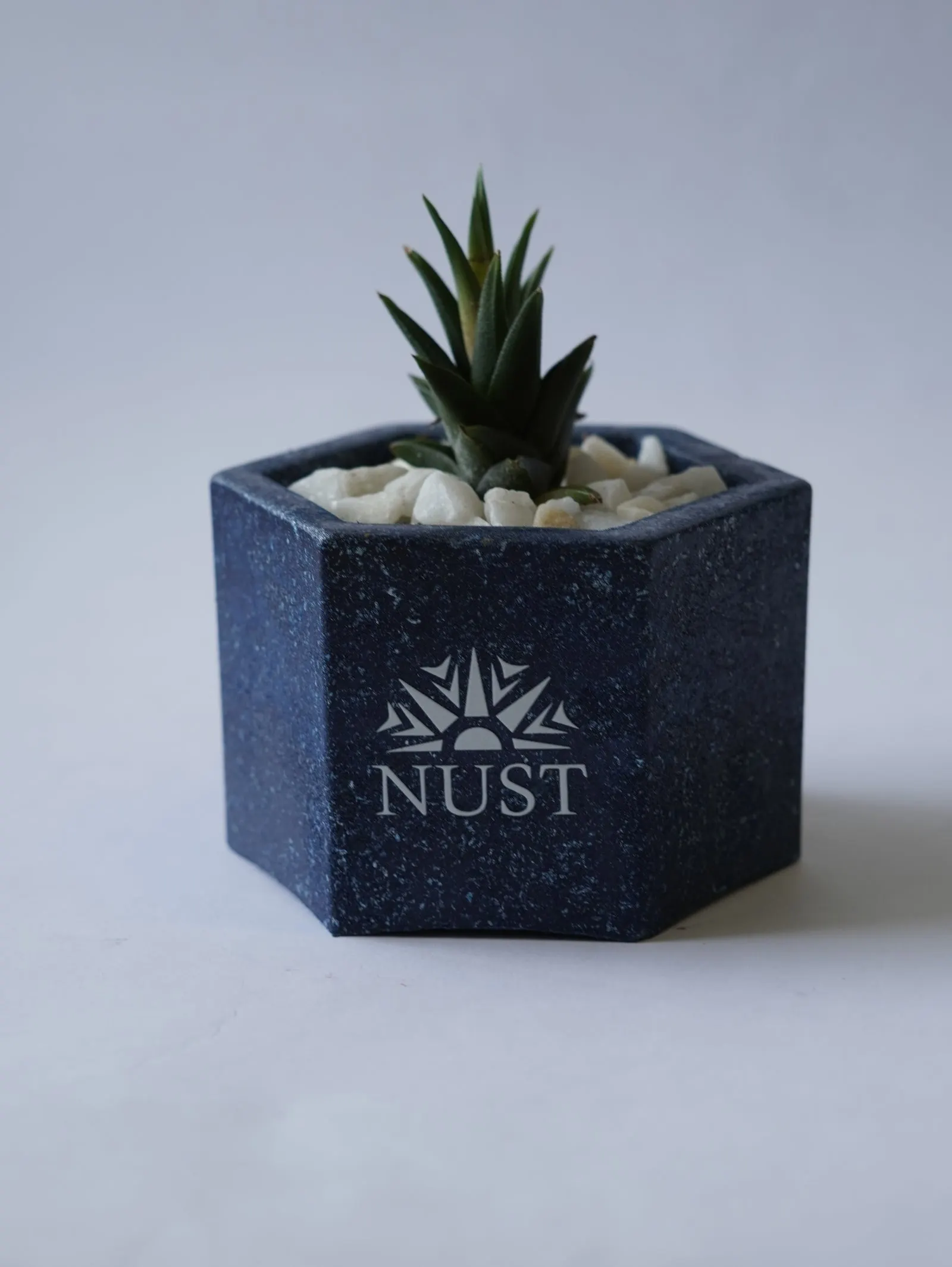 EcoPot - Small