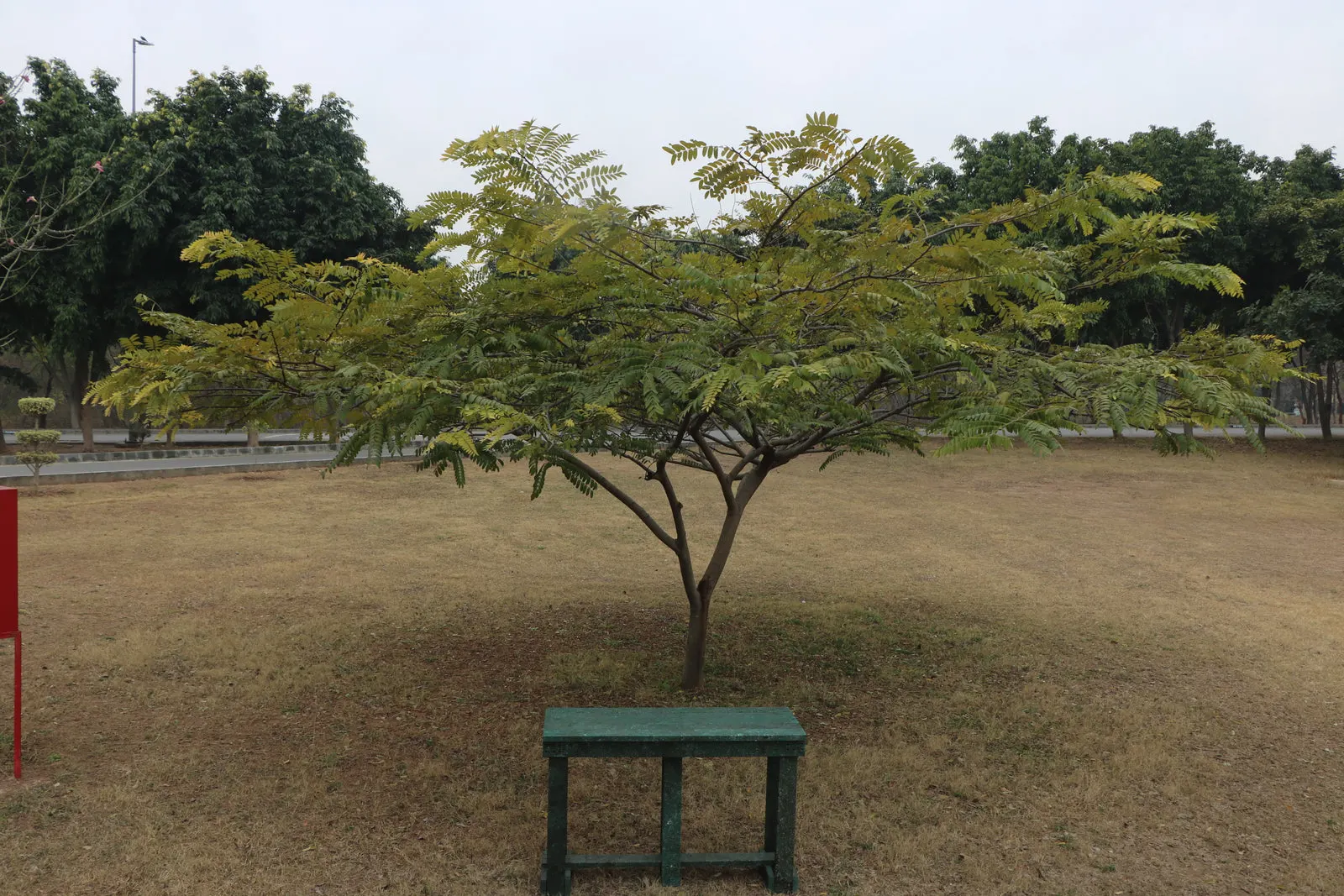 Outdoor Table